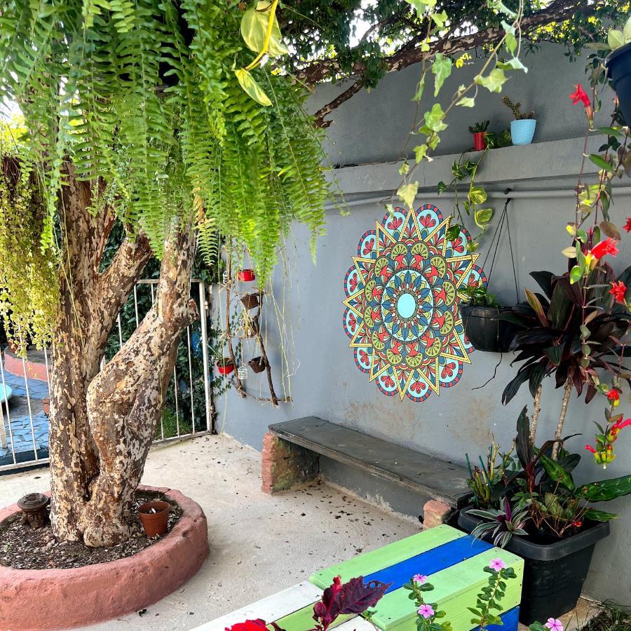Casa Jardim Hostel Bh - Santa Efigenia - Paraiso เบโลโอรีซอนชี ภายนอก รูปภาพ